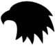 blackbird head 1