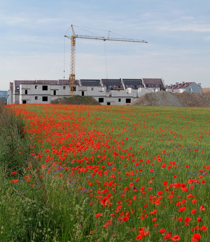journey Urban development with a scenic poppy field foreground, merging nature and construction.