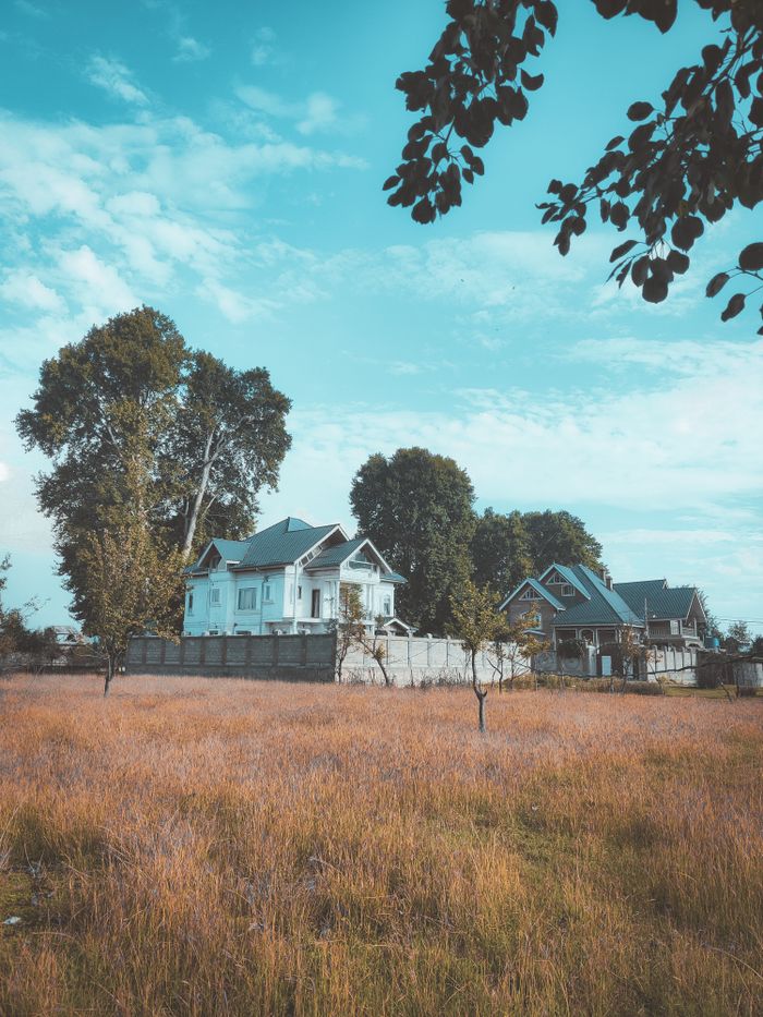 why-choose-us Beautiful suburban houses amidst a peaceful natural setting of trees and open field.