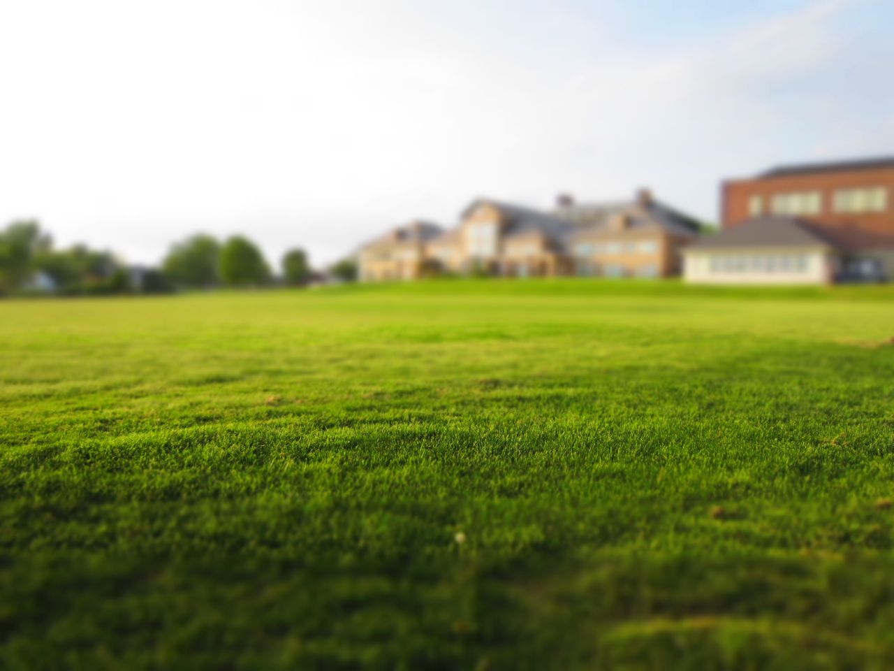 services-02 Expansive green lawn with a blurred building in the distance under a clear sky.